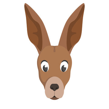 Kangaroo face front view. Animal head in cartoon style.