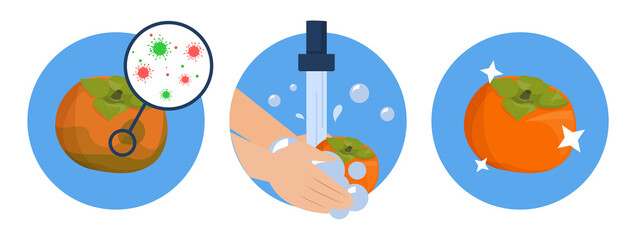 Washing persimmon concept vector isolated. Dirty fruit full of bacteria before and clean product after washing in the water. Hands wash persimmon with soap.