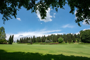 Fototapeta na wymiar Large open garden with evergreen Cypress trees