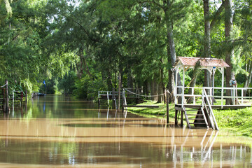 Channel, Parana delta, Tigre, Buenos Aires, Argentina, South America