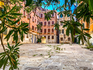 Fototapeta na wymiar View of a small square in Venice without anyone, through the leaves. Italy
