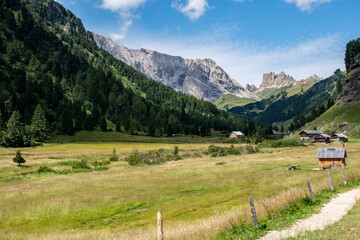 Fototapeta na wymiar View of the Catinaccio-Rosengarten Dolomites group seen from Val Duron, Val di Fassa.