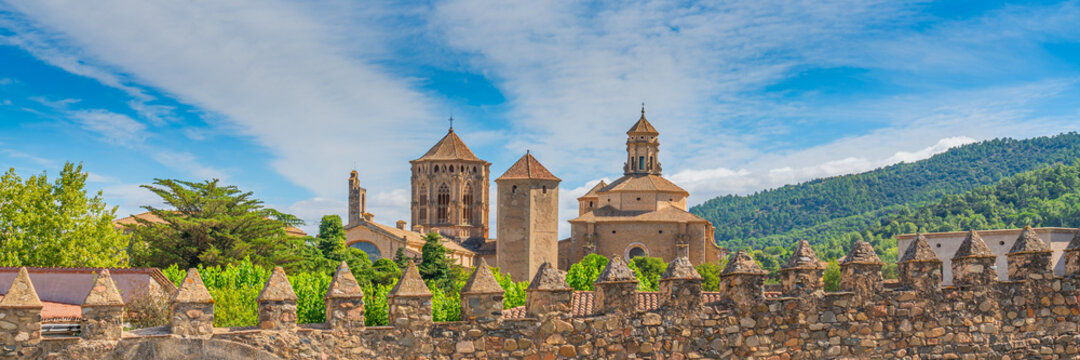 Wall with the background of the twelfth century Cistercian monastery of Santa Maria de Poblet, Catalonia.
