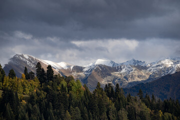 The mountain autumn landscape with colorful forest and high peaks Caucasus Mountains.
