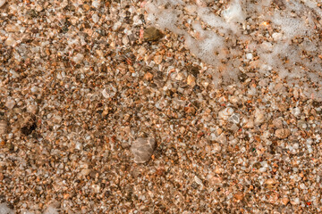 Small pebbles under the sea water on the beach