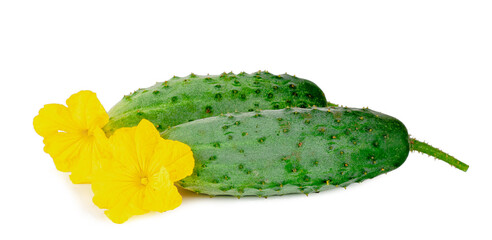Fresh ?ucumbers isolated on a white background