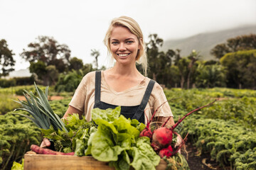 Vegetable farmer smiling cheerfully after harvest - obrazy, fototapety, plakaty