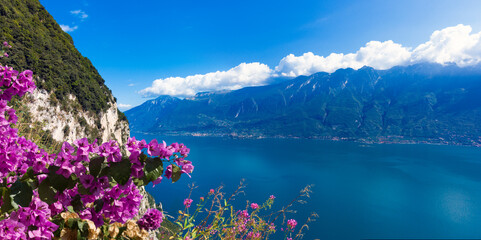 Panorama Blick über den Gardasee auf den Monte Baldo und Melcesine mit Bougainvillea im...