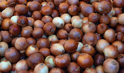 Real food backround: brown and yellow onions. Horizontal shot. Close up