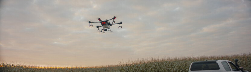 Fototapeta na wymiar View of a huge intelligent agriculture drone with spray nozzles flying over corn field early in the morning