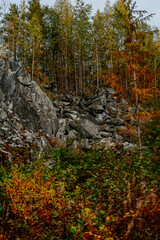 karelia autumn russia forest woods