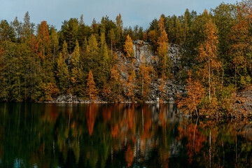 karelia autumn russia forest woods