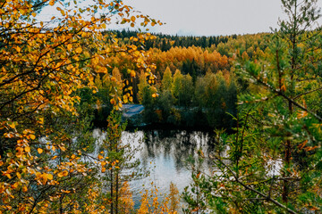 karelia autumn russia forest woods