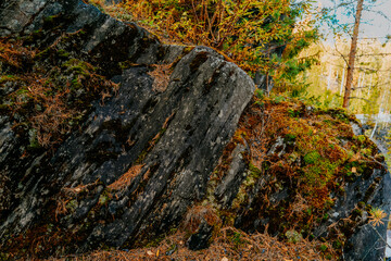 karelia autumn russia forest woods