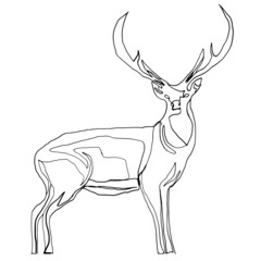Deer symbol of the new year. The linear pattern is suitable for printing on fabric, tattoo, logo, postcards. Vector graphics