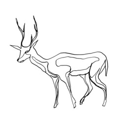 Deer symbol of the new year. The linear pattern is suitable for printing on fabric, tattoo, logo, postcards. Vector graphics