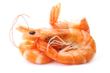 Fresh shrimps on white background