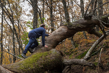 Young man climbing up tree trunk