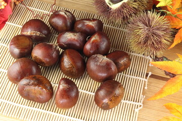 秋の味覚 複数の愛媛産の利平栗と紅葉といがぐり