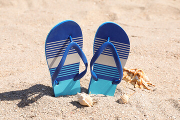 Fototapeta na wymiar Stylish flip flops and seashells on sand