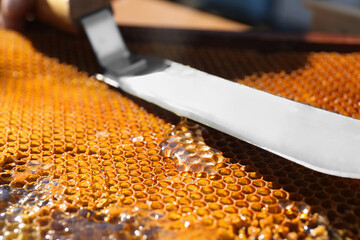 Uncapped comb with knife and fresh sweet honey, closeup