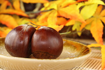 秋の味覚 愛媛産の利平栗と紅葉