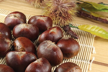 秋の味覚 複数の愛媛産の利平栗と紅葉といがぐり