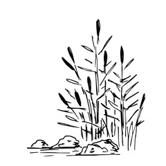 Simple vector black outline drawing. Lake shore, reeds, stones in the water, swamp. Nature, landscape, duck hunting, fishing. Ink sketch.