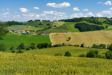 Fototapeta na wymiar Rural landscape near Sala Baganza and Torrechiara, Parma, at springtime