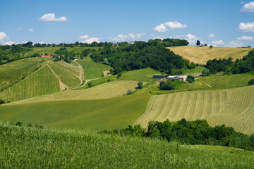 Rural landscape near Sala Baganza and Torrechiara, Parma, at springtime