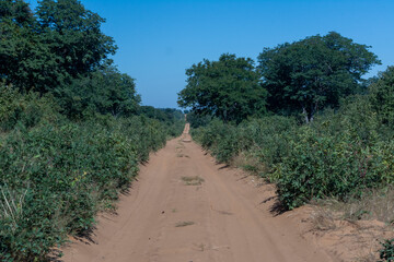 Sand road to Savuti Northern Gate from Kasane, Botswana. Safari self-trip road trip