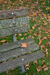 herbstliche friedhofsstimmung