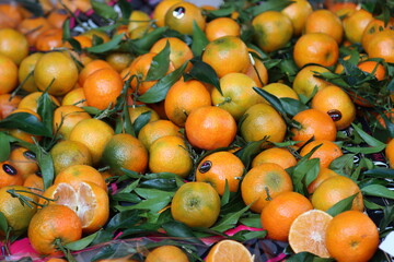 group of mandaranci fruit for sale