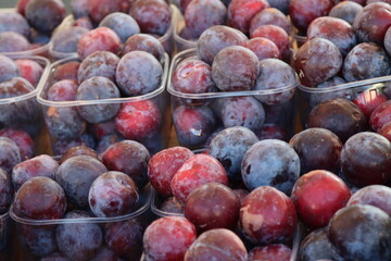 group of red plums for sale