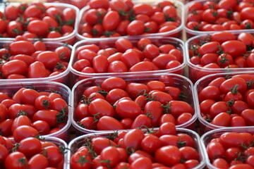 trays of red tomatoes for sale