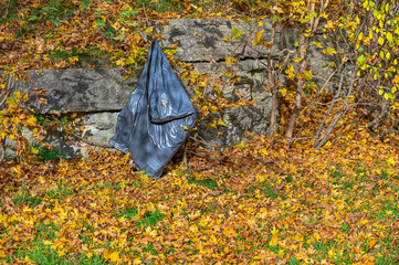 colorful autumn leaves and black plastic garbage bag
