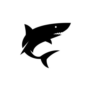 Illustration vector graphic template of shark silhouette logo