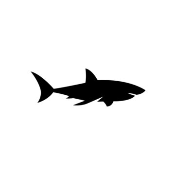 recommend clip art: Illustration vector graphic template of shark silhouette logo