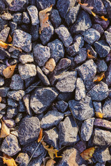Top view of gravel texture for background with many autumn orange leaves which fall on small gray pebbles in outdoors. autumnal concept