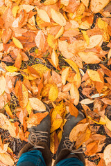 Colorful autumn leaves underfoot. Point of view. Shot from above.