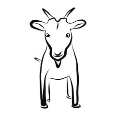Farm pet goat sketch drawn by hand, cattle, milk and goat meat, one farm horned animal on a white background, vector illustration livestock, farm animal, sketch icon