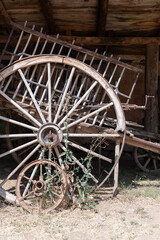 Fototapeta na wymiar old wooden wagon wheel, abandoned