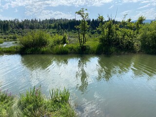 Lake Bajer or Artificial reservoir Bajer on the river Licanka, Fuzine - Gorski kotar, Croatia...