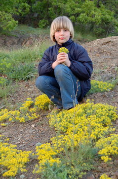 child boy with dandelions
