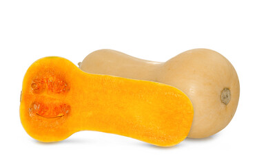 butternut squash slice isolated on white background