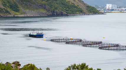 Aquakultur in Norwegischen Fjorden