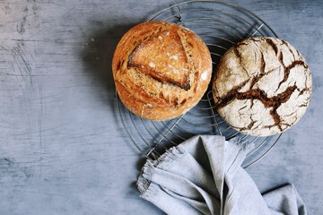 Homemade sourdough bread on the grey background
