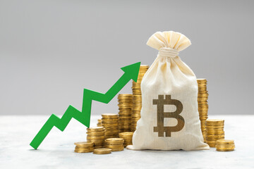 Bitcoin growth. Money bag and bitcoin symbol with growing upward arrow