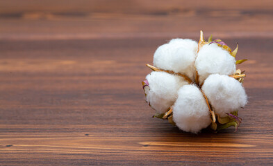 Cotton close-up. The buds of the cotton plant are collected on a wooden background. Environmentally friendly raw materials.