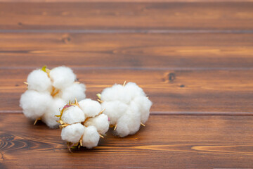 Cotton close-up. The buds of the cotton plant are collected on a wooden background. Environmentally friendly raw materials.